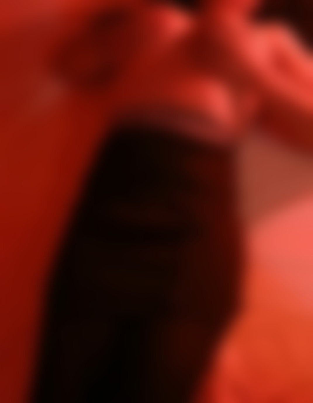 Daniela – foto 5