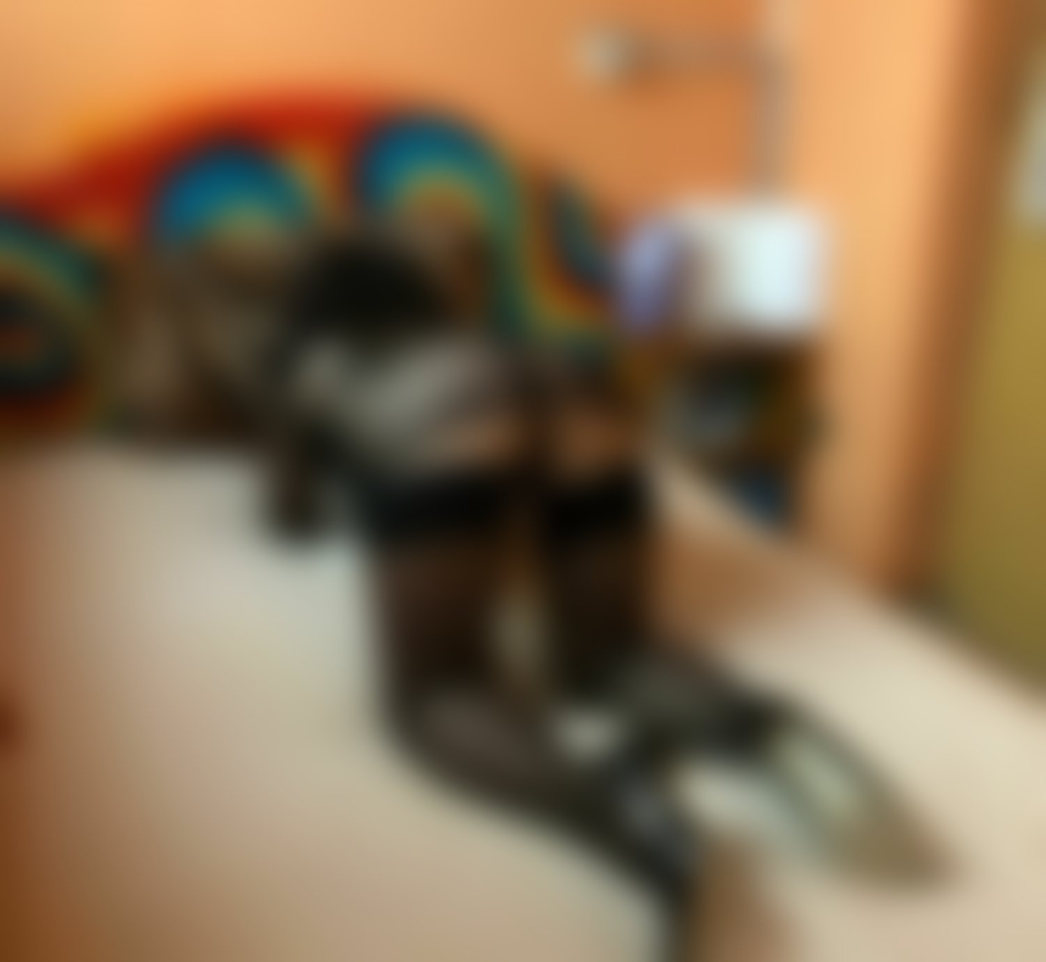 Aneta – foto 12